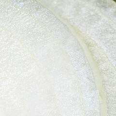 Onion sliced with round white rings, macroshot.
