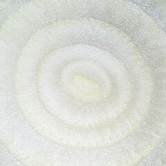 Fototapeta na wymiar Onion sliced with round white rings, macroshot.