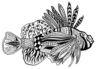 Illustration of red lionfish isolate on white background
