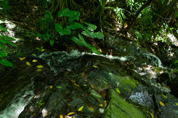 ecoturismo