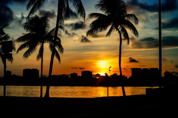Obraz premium sunrise on the beach