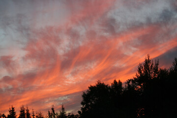 Fototapeta premium sunset