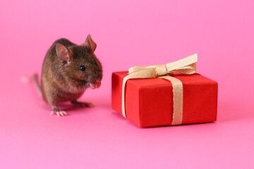ネズミとプレゼント