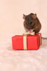 ネズミとプレゼント