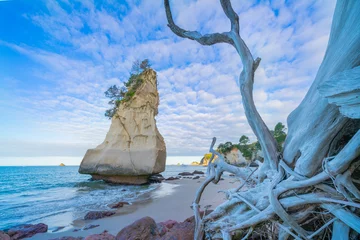 Foto op Aluminium Te Hoho Rock standing by Cathedral Cove it's pumice weathered over thousands of years looking like it is about to topple, © Brian Scantlebury