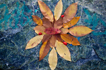 Autumn leaves arranged in a composition on a stone