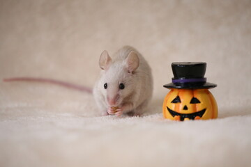 ネズミとジャックオーランタン