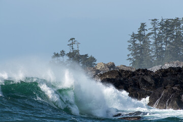 Wave crashing on a rocky coastline in Big Beach, Ucluelet, Vancouver Island, BC Canada