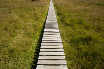 Trail Boardwalk, Mount Cook National Park, South Island, New Zealand