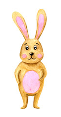 Clipart beige rabbit with a pink belly and cheeks, stands and smiles. Cute childish illustration on a white background.