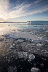 Icebergs, Antarctic Peninsula
