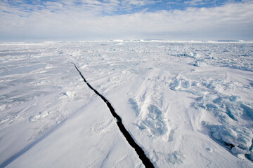 Sea Ice, Antarctic Peninsula © Paul