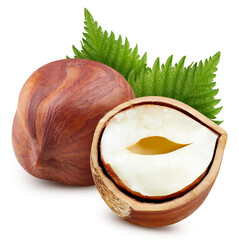 Organic hazelnuts isolated on white background. Taste hazelnuts with leaf. Full depth of field with...
