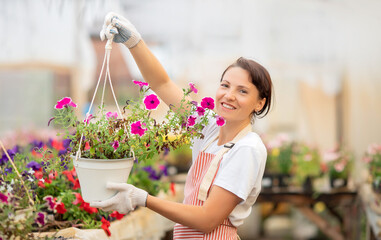 Business shop plant nursery, woman gardener caring for flowers in greenhouse