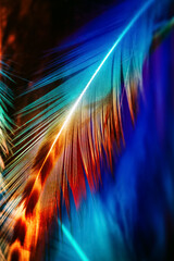 Macro photo of colorful detailed rooster feather on deep blue background underwater