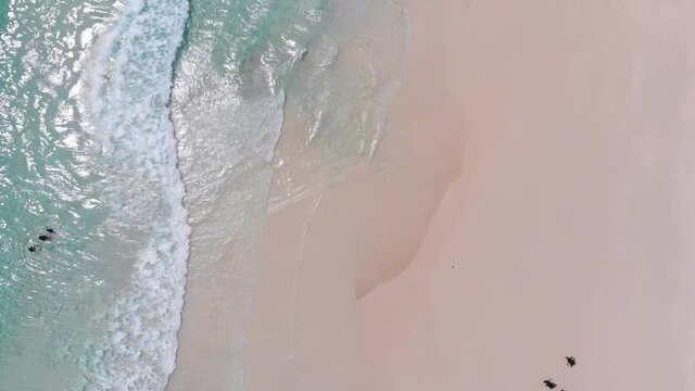 Mavic Air flying from bottom to top reveal the tourist and the boat at Redang Island, Malaysia.