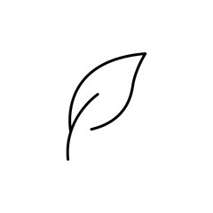 leaf icon vector illustration