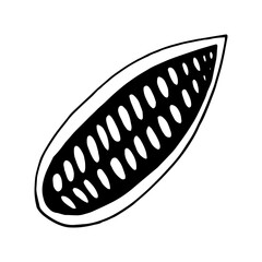 cocoa bean half hand drawn vector doodle. single element for design icon, label, menu, sticker. food, plant