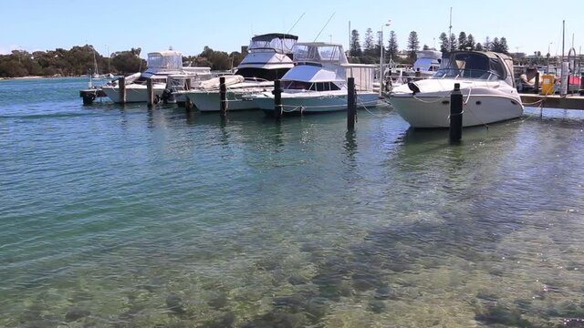 Row of yachts moored up on the Swan River, Perth, Australia