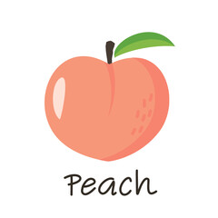Peach fruit with leaf icon and hand writing on white background vector illustration.