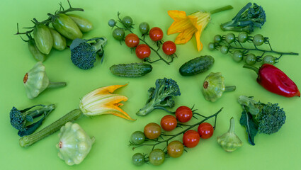Layout with fresh autumn vegetables on green background