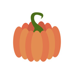 pumpkin fruit flat style icon