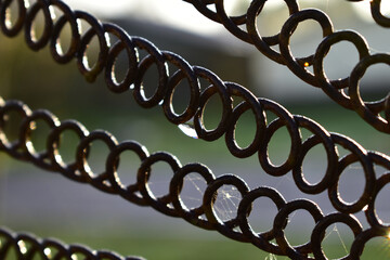 wet steel wire rings at dawn