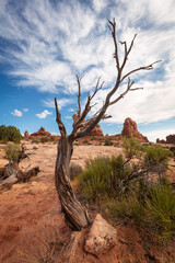 Landscape View from Arches National Park, Utah, USA