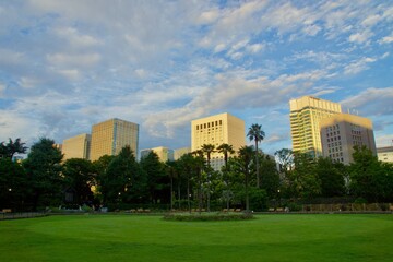 Obraz premium 日比谷公園夕景 第一花壇と美しい空