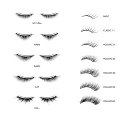 Banner with kinds of false lashes for extension vector illustration isolated.