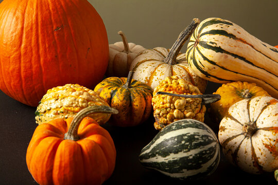 photo of a variety of pumpkins, squashes and gourds randomly spread over black  and green backgrounds. An ideal image for fall harvest, halloween, thanks giving themes.