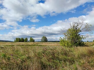 blue sky with beautiful clouds over a field with trees