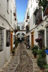 street decorated with flowers, Cordoba, Spain