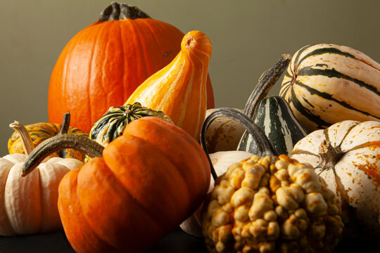 photo of a variety of pumpkins, squashes and gourds randomly spread over black background. An ideal image for fall harvest, halloween, thanks giving themes.