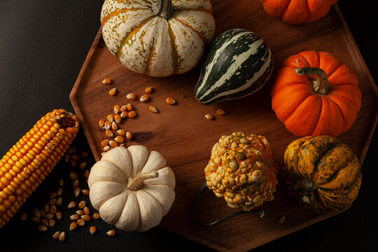 variety of pumpkins, squashes and gourds  as well as a dried a corn cob with kernels, randomly spread on a wooden plate black background. Ideal image for fall harvest, halloween, thanks giving themes.