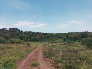 country road in a field among green bushes and trees against a blue sky