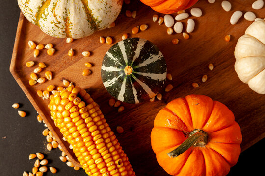 pumpkins, squashes and gourds ,  dried a corn cob with kernels and dried beans were randomly spread on a wooden plate on a  black background. Ideal image for fall harvest, halloween, thanks giving 