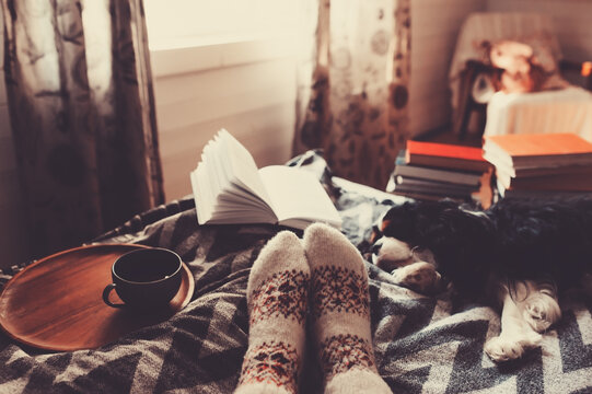cozy winter day at home with cup of hot tea, book and sleeping dog. Spending weekend in bed, seasonal holidays and hygge concept