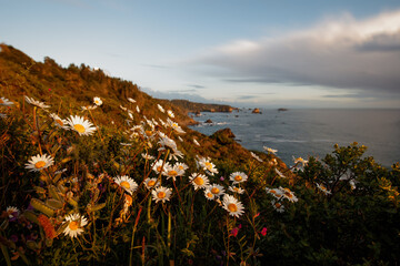 Seascape Sunset in Northern California