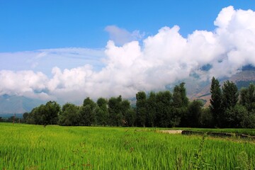 Beautiful mountains of Kashmir, India.