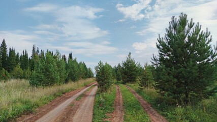 Fototapeta na wymiar double country road among green pine trees against a blue sky with clouds