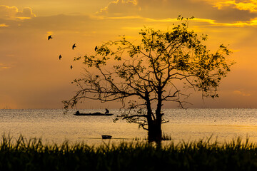 Silhouette of tree and fishermen in the lake with sunlight.