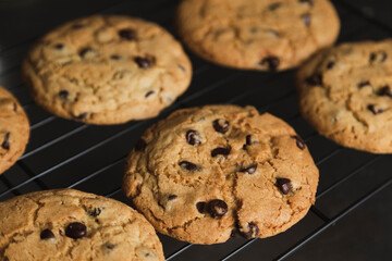 Delicious chocolate chip cookies chilling on the wire rack - homemade cookies fresh from the oven