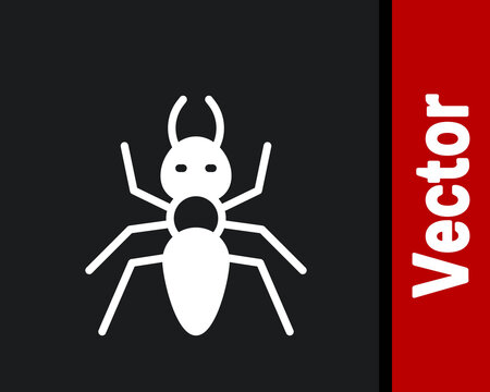 White Ant icon isolated on black background. Vector.