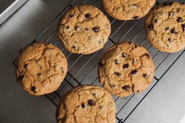 Delicious chocolate chip cookies chilling on the wire rack - homemade cookies fresh from the oven