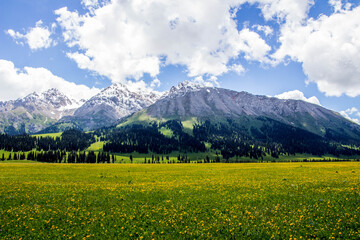 landscape with sky and clouds