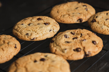 Delicious chocolate chip cookies chilling on the wire rack - homemade cookies fresh from the oven