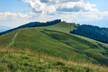 Obraz premium Mountains hills landscape during a sunny day with blue sky clouds. Dark autumn trees. Forest in summer. Hiking in wild mountains. Adventure Travel Concept.