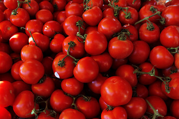 Ripe red tomatoes on the market counter. Tomatoes on green branches in the store. Pattern of fresh tomatoes.