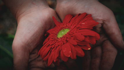 Close up of flowers doing what they do best